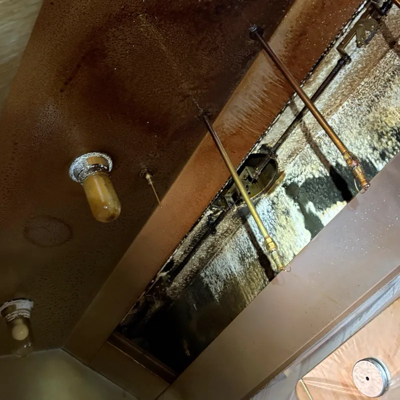 Grocery store hood interior before cleaning, brown grease film over panels and lights, Glenwood Springs.